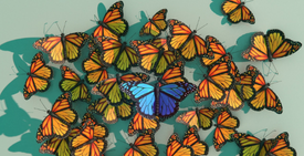 UYUMSUZLUK - KENDİNLE UYMAK